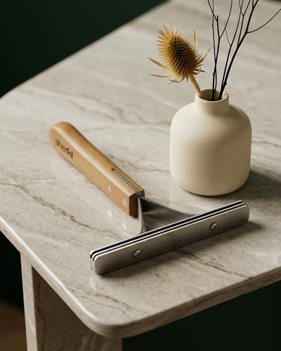 Lifestyle image 5